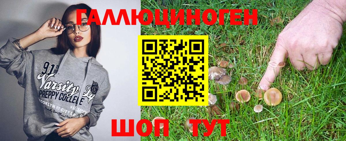Псилоцибиновые грибы Magic Shrooms  Вход с VPN  Псилоцибиновые грибы MAGIC MUSHROOMS  Химки 